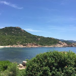 Meet your Posher, Tam